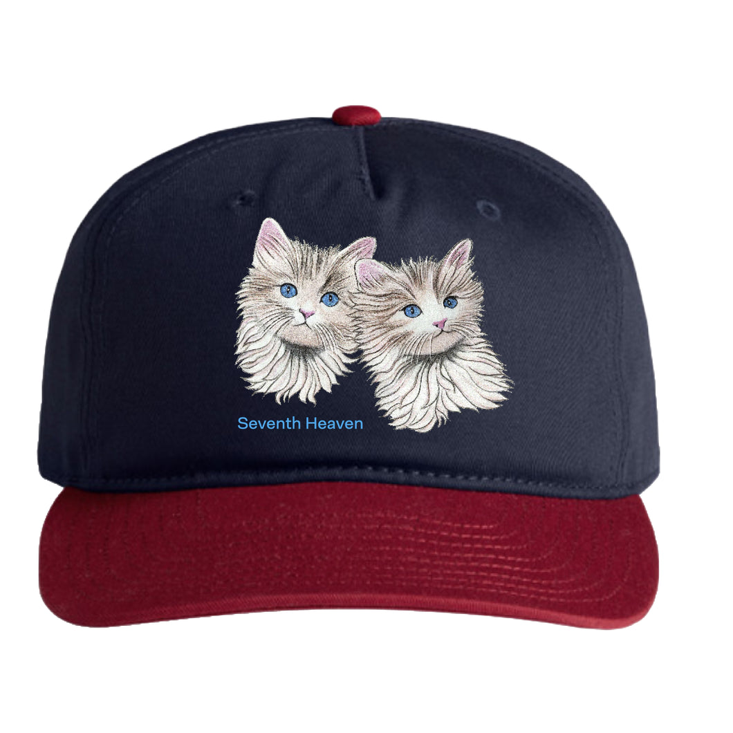Cats Hat
